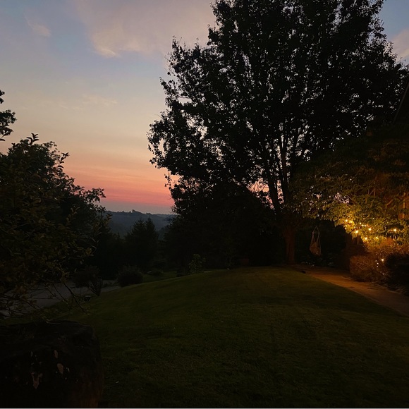 Meet your Posher, Cristi - Picture 1 of 4